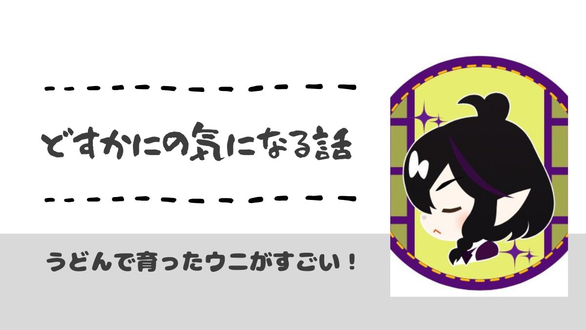 どすかにの気になる話
