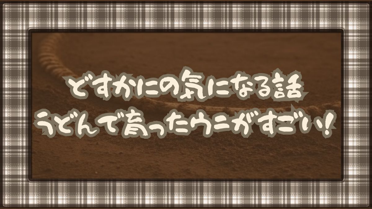 どすかにの気になる話